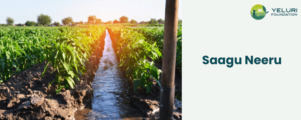 Saagu Neeru: Sustaining Agriculture with Reliable Water Sources